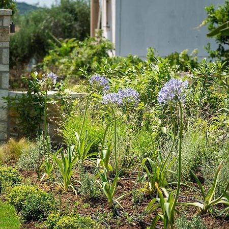 Syvota Gardens Lejlighed Eksteriør billede